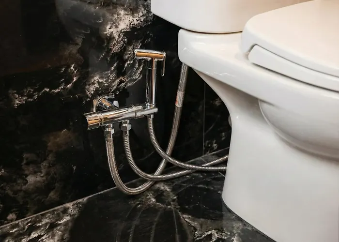 Patricia Center Hotel *