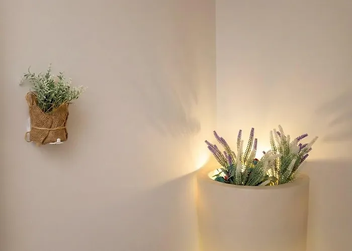 Patricia Center * Tirana